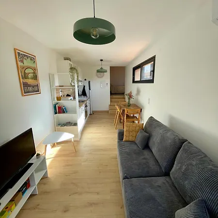 Bel Appartement A Ceret Exterior photo