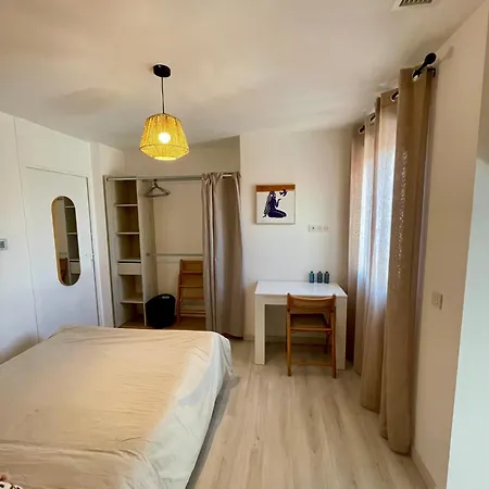 Bel Appartement A Ceret Exterior photo