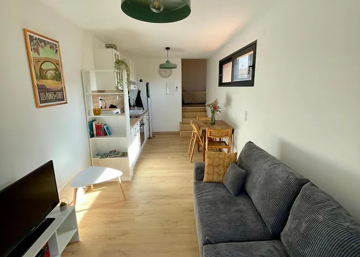 Bel Appartement A Ceret