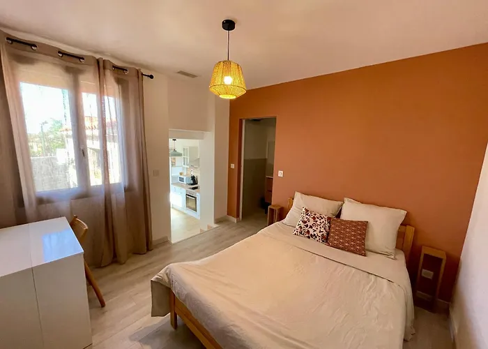 Bel Appartement A Ceret